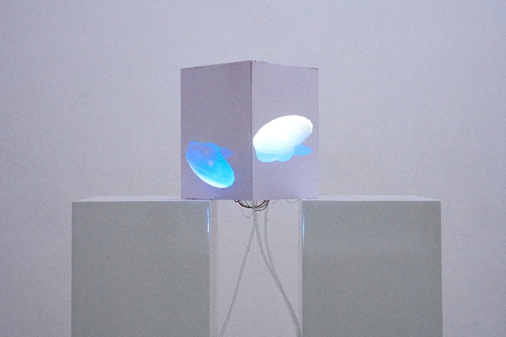Light by Distance — illuminated cube on pedestals